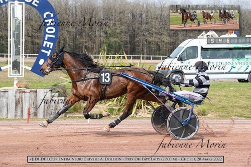 JIDI DE LOU (Timoko - Bellissima de Lou).