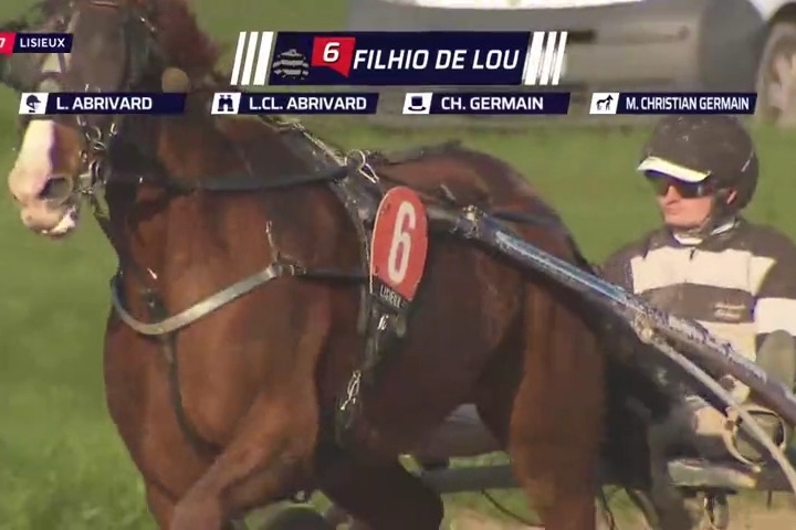 FILHIO.DE LOU (Prodigious-Lola de Lou)