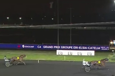 FILHIO DE LOU (Prodigious-Lola de Lou)...