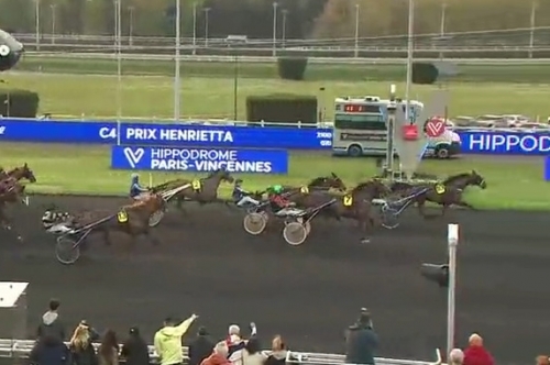 HIGUAIN DE LOU (Love you-Saba du vivier)