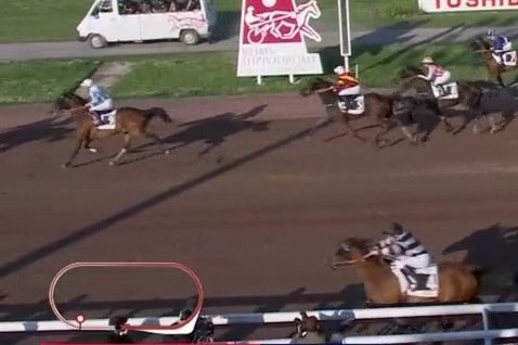 FINE DU COLOMBIER (Real de Lou - Treizième rue)