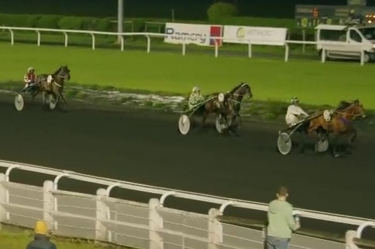 JESAMINA DE LOU (Ecu Pierji - Daytona Sacha)