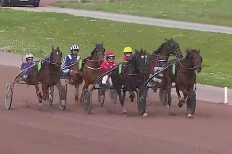 IPANEMA DE LOU (Sam bourbon-Selecao de Lou) .