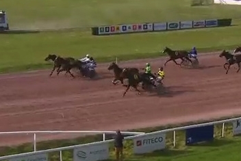 HIGUAIN DE LOU (Love you-Saba du vivier)...