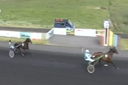 JAMAICA DE LOU (Real de Lou - Unora de Lou)