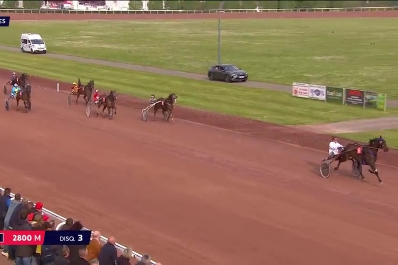 FILHIO.DE LOU (Prodigious-Lola de Lou)