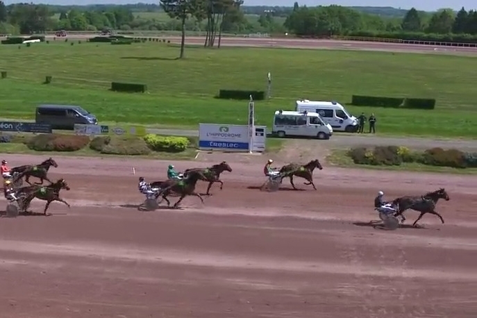 HACIENDA DE LOU (Niky-Venezia de Lou)