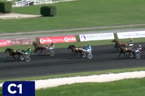 JESAMINA DE LOU (Ecu Pierji - Daytona Sacha)