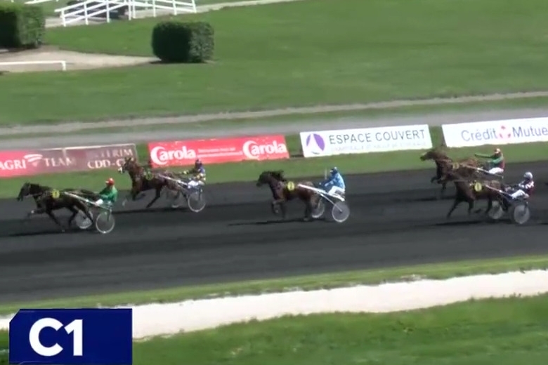 JESAMINA DE LOU (Ecu Pierji - Daytona Sacha)