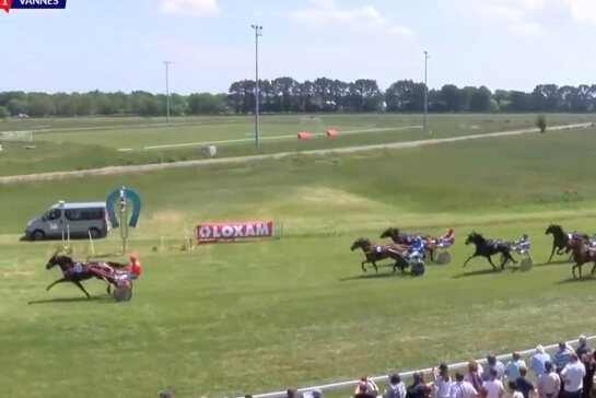 INZAGHI DE LOU (Real de Lou - Ukraine du vivier)