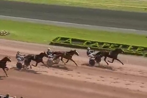 HIGUAIN DE LOU (Love you-Saba du vivier)...