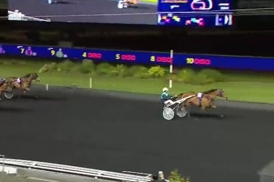 REAL DE LOU ( Jag de bellouet-Kooka de Lou)...