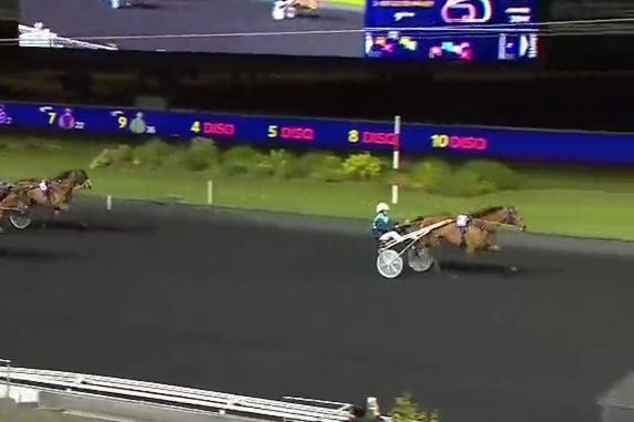 REAL DE LOU ( Jag de bellouet-Kooka de Lou)...