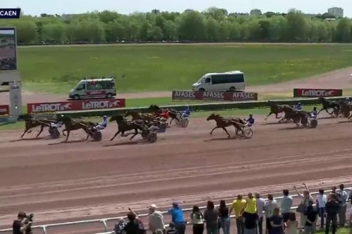 HIGUAIN DE LOU (Love you-Saba du vivier)...