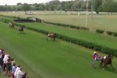 .HOLLENBOURG (Brillantissime et Telma des Jacquets)