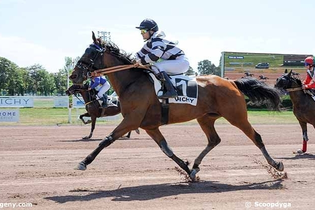 FINE DU COLOMBIER (Real de Lou-Treizième rue)