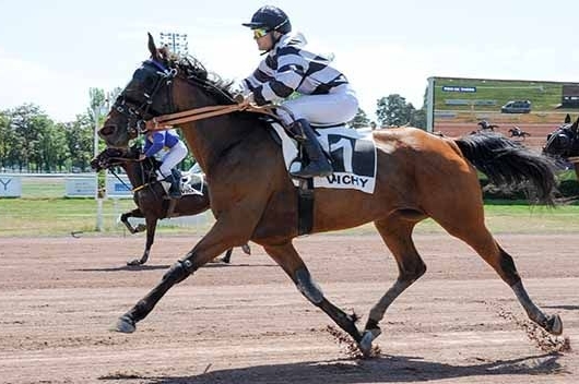 FINE DU COLOMBIER (Real de Lou-Treizième rue)