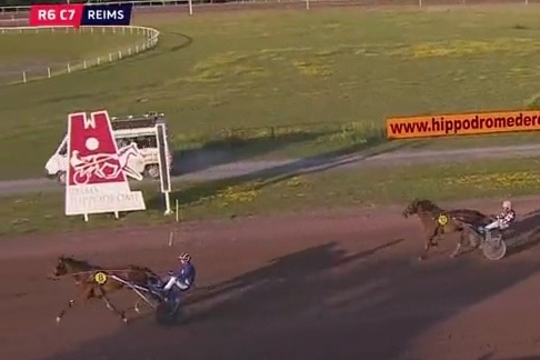 ..JESAMINA DE LOU ( Ecu pierji-Daytona sacha).