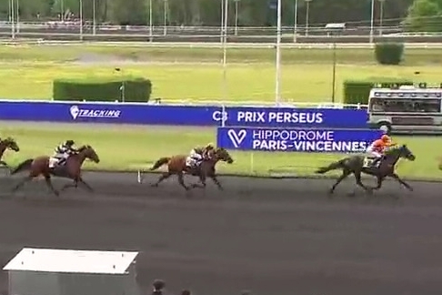 CARIOCA DE LOU (Jag de Bellouet-Lola de Lou)