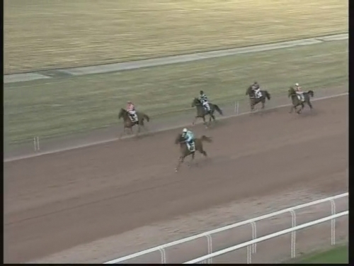 GRACIOSA DE LOU (Real de Lou-Belle de tembia)