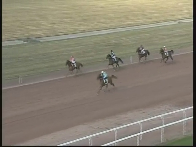 GRACIOSA DE LOU (Real de Lou-Belle de tembia)