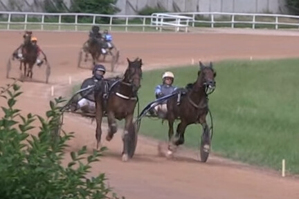 KAPITANO DE LOU ( Brillantissime-Tania de Lou)...