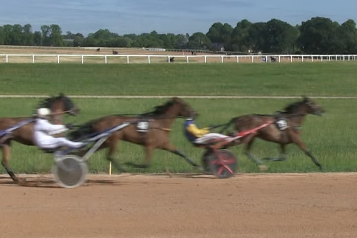 KEZIRA DE LOU (Village mystic-Flora de Lou)