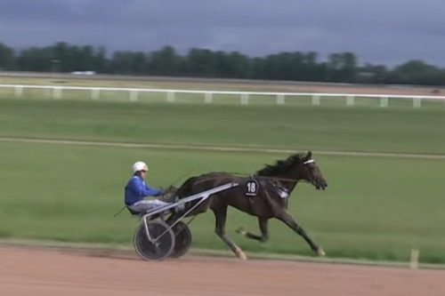 KALMIO DE LOU (Express jet-Dalmia de Lou)