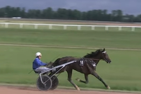 KALMIO DE LOU (Express jet-Dalmia de Lou)