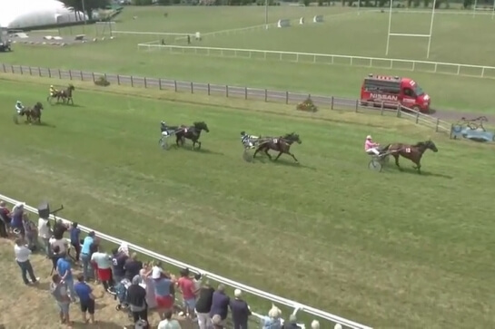 INZAGHI DE LOU (Real de lou-Ukraine du vivier)