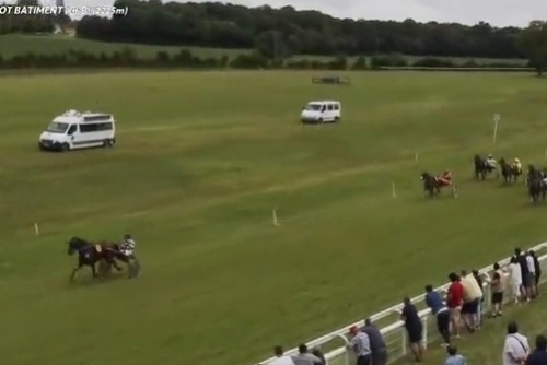 JUNINA DE LOU (Sam Bourbon-Lola de Lou)...