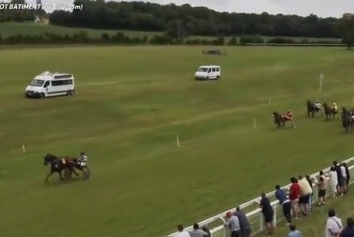 JUNINA DE LOU (Sam Bourbon-Lola de Lou)...