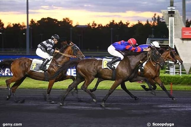 CARIOCA DE LOU (Jag de bellouet-Lola de Lou)..