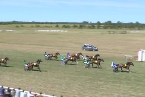 ISCO DE LOU (Charly du noyer-Arabella de Lou)..