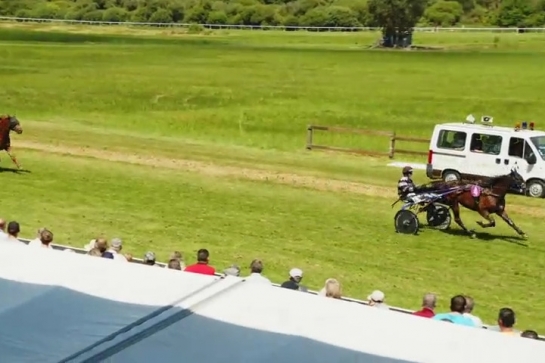 JOKO DE LOU (Real de Lou- Carla de Lou)