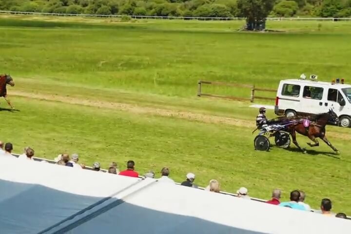 JOKO DE LOU (Real de Lou- Carla de Lou)