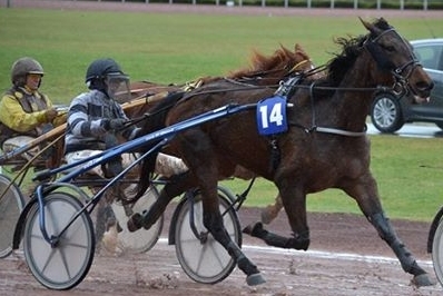 KOSTELLO DE LOU (Real de Lou-Dorada de Lou)...