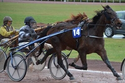 KOSTELLO DE LOU (Real de Lou-Dorada de Lou)...