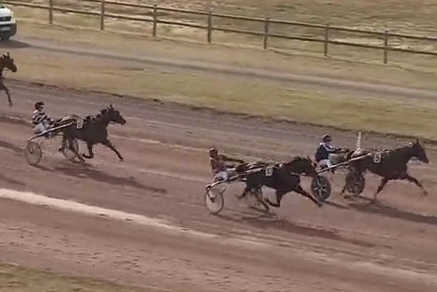 GAZETTA DE LOU (Real de Lou-Noisette d'argence)