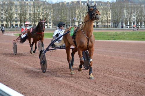 KARIOLA DE LOU ( Sam Bourbon-Vikivera de Lou)...