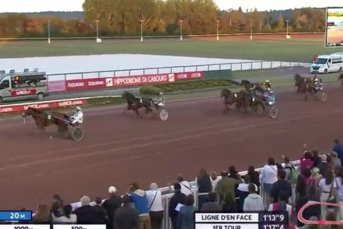 ..JUNON DE LOU (Real de Lou-Saba du vivier).