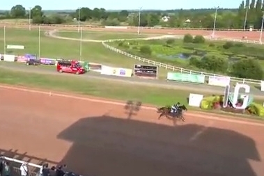 INTUITION DE LOU (Real de Lou-Bellissima de Lou)