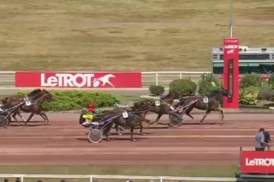 ELMAGNIFICO DE LOU (Prodigious-Prima dona de Lou)