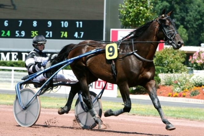 REAL DE LOU ( Jag de bellouet-Kooka de Lou)...