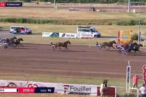 HENRIQUE DE LOU (Real de Lou - Star de tembia)