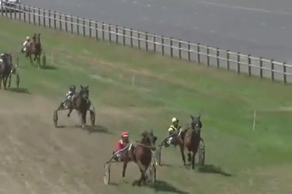 JOKO DE LOU (Real de Lou- Carla de Lou)