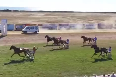 INZAGHI DE LOU (Real de Lou-Ukraine du vivier)