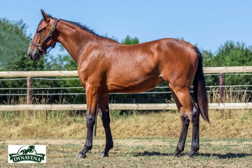 LINDA DE LOU ( Uniclove - Fiction castelets)