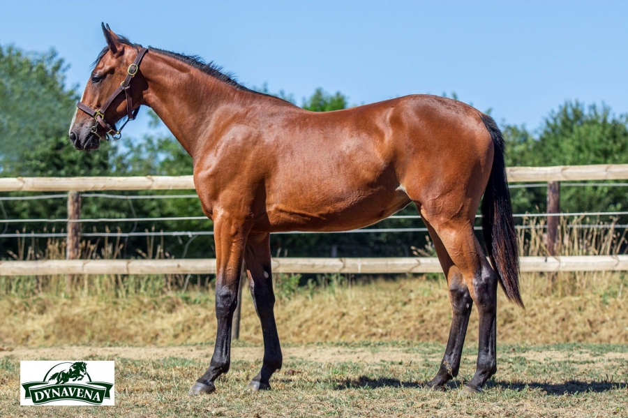 LINDA DE LOU ( Uniclove - Fiction castelets)