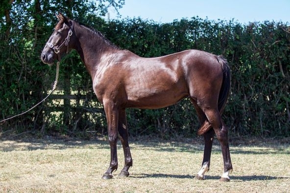 LA DOLCE DE LOU (Follow you-Dolce vita de Lou)...